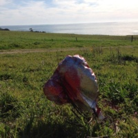 Mylar balloon bouquet litter in Pt. Buchon, California