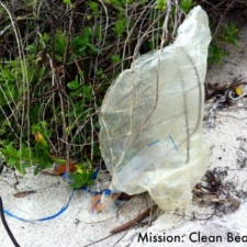 Mylar balloon in vegetation Mylar balloon litter in beach vegetation