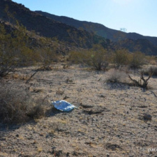 Balloon Polluting National Park Mylar balloon polluting Joshua Tree National Park, California