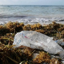 Mylar Balloons Mylar balloon polluting Key Colony Beach, Marathon, Florida Keys