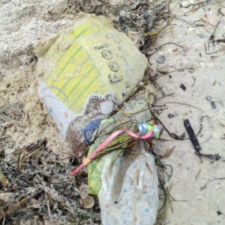 Feel better? Mylar balloon polluting Manatee Beach, Florida