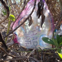 mylar balloon in mangrove