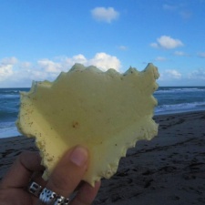 Polystyrene Nibbled polystyrene found on beach