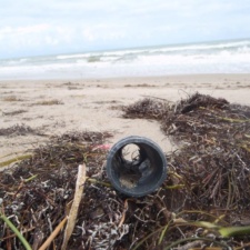 Beach Debris