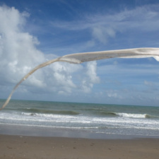 Piece of a weather balloon Piece of a weather balloon polluting beach