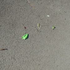 Balloon Pollution Pieces of latex balloon on beach sand