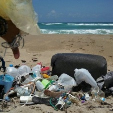 Plastic Pollution