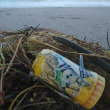 Plastic Pollution Plastic candy container from Mexico on beach