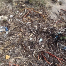 Plastic Pollution Plastic pollution washed in with the sargassum