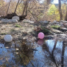 Rose Bowl Balloons Rose Bowl balloons in newly restored stream area