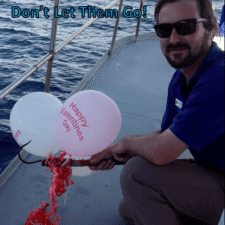 San Diego Whale Watch