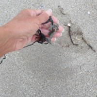 mylar balloon in sand