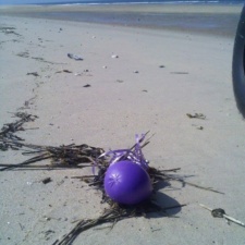 Balloon Pollution latex balloon litter