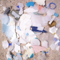 Beach Pollution