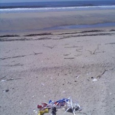 Tangled Balloon String Tangled balloon bits and string on beach found before endangered Piping Plover chicks hatched