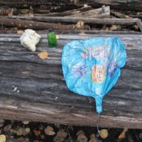 This mylar balloon was found in the pristine wilderness of the Kenai Peninsula in Alaska