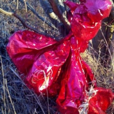 Balloon Love Hurts - The Environment & Wildlife mylar balloon bouquet found caught near a stream