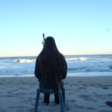 Bird Watching Watching Birds on beach