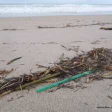 Don't use plastic straws
