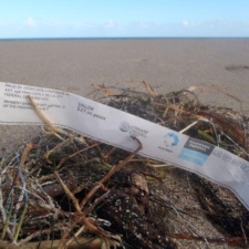 Plastic Pollution admission bracelet to natural park in Mexico on beach