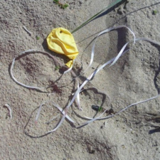 "Biodegradable" Latex balloon