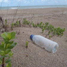 Single-Use Plastic Single-Use Plastic Water Bottle Debris on Beach