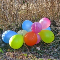 bunch of colorful latex balloons on ground