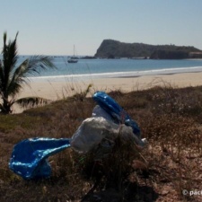 Bahia Tenacatita bunch of mylar balloons polluting Bahia Tenacatita, on the Gold Coast of Mexico