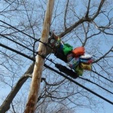 Cluster of mylar balloons in power lines cluster of mylar balloons in the power lines