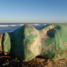 Plastic Pollution dead bryozoan colony on an old plastic bottle on Florida Beach