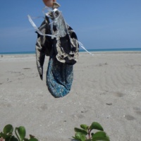 balloons polluting beach