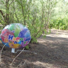 Mylar Balloon happy birthday mylar balloon in wooded area