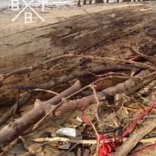 Pennsauken, New Jersey latex balloon and ribbon in wood on beach
