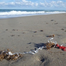 Latex Balloon & Ribbon latex balloon and ribbon litter on beach