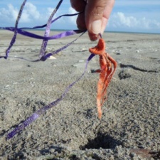 Latex balloon near a crab's hole piece of latex balloon with string near a crab's hole