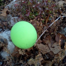 Balloon Pollution latex balloon polluting autum leaves