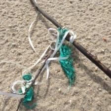 Latex Balloon Pollution latex balloon ribbon caught on stick on beach