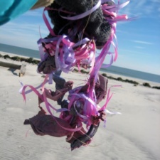 Island Beach State Park, New Jersey latex balloons and ribbons pollution Island Beach State Park, New Jersey