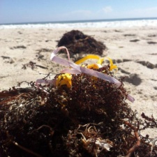 Balloon Pollution latex balloons on beach