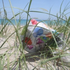 Balloon Pollution mylar balloon in beach seagrass