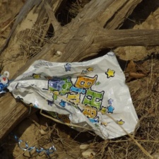 Mylar Balloon mylar balloon litter found in Elizabeth Morton National Wildlife Refuge Noyack, NY