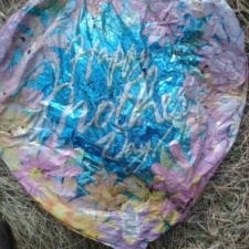 Niantic, Connecticut mylar balloon litter in yard Niantic, Connecticut