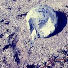 Balloon Pollution mylar balloon littering beach
