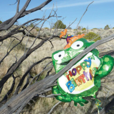 We Prefer Real Frogs mylar balloon trapped in Nevada's high country