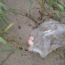 Balloon Pollution mylar balloon with a melted latex inside it