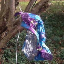 Mylar Balloon mylar balloon with string hanging in tree