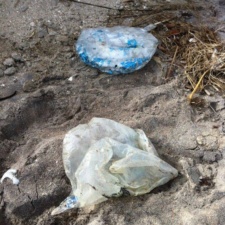 Wildlife Refuge Archie Carr National Wildlife Refuge, Melbourne, Florida