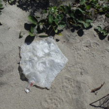 Mylar Balloon Pollution old mylar balloon polluting beach