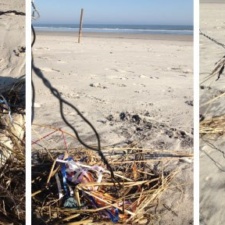 Ribbons from Latex Balloons ribbons from latex balloons polluting New Jersey shoreline