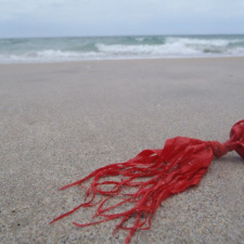 Shredded Latex Balloon shredded latex balloon littering beach